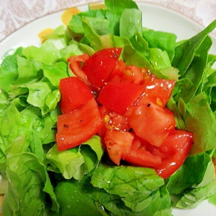 サラダ菜とトマトドレッシングのサラダ